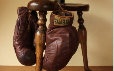 Berg Boxing Gloves