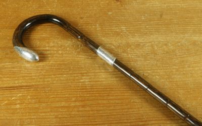 Antique Silver Norwich Walking Cane