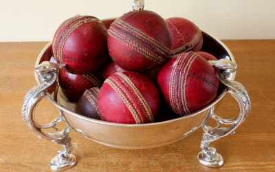 Cricket Ball Bowl