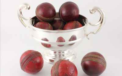 Cricket Ball Trophy Cup