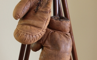 Geo Reach Boxing Gloves