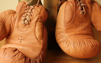 Light Brown Boxing Gloves