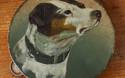 Painted Dog Tambourine