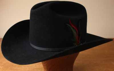 Stetson 4 Beaver Hat