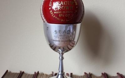 Throwing Cricket Ball