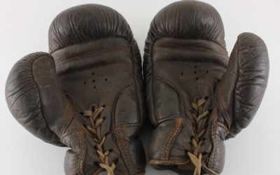 Vintage Frank Bryan Boxing Gloves