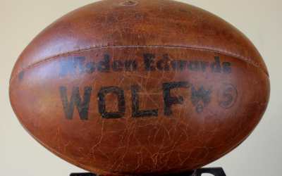 Wisden Wolf Rugby Ball