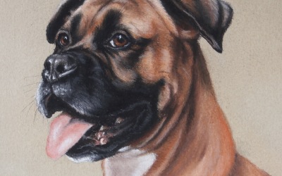 Boxer Dog Pastel